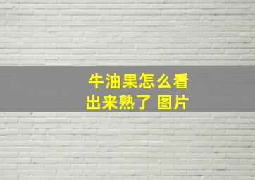 牛油果怎么看出来熟了 图片